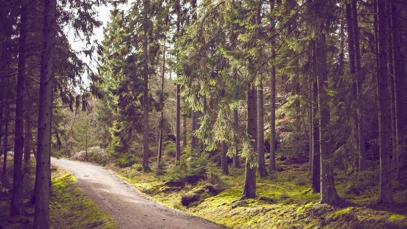 Spor ve Bahis Görseli